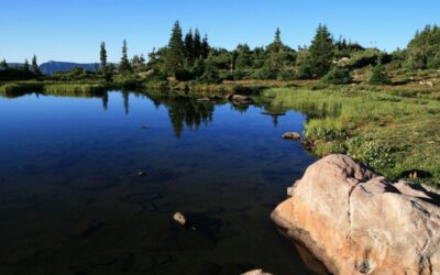 Rainwater Harvesting and an ADEQ Grant!