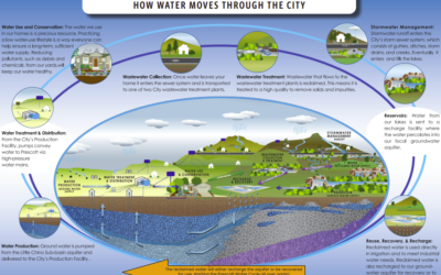 The Water Cycle  How Water Moves Around the City
