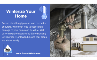 Water Smart Home Winterization